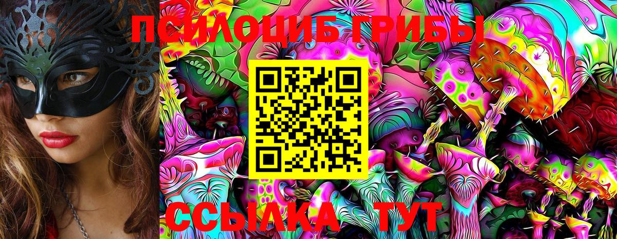 Галлюциногенные грибы Cubensis  Вход с VPN  Галлюциногенные грибы прущие грибы  наркота  Шуя 